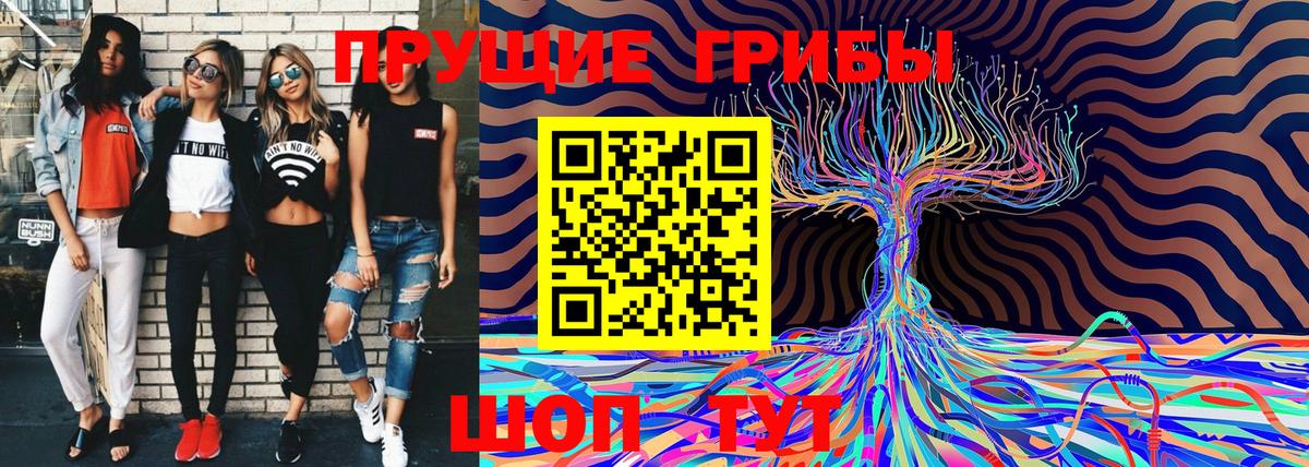 Галлюциногенные грибы Psilocybine cubensis Балашов