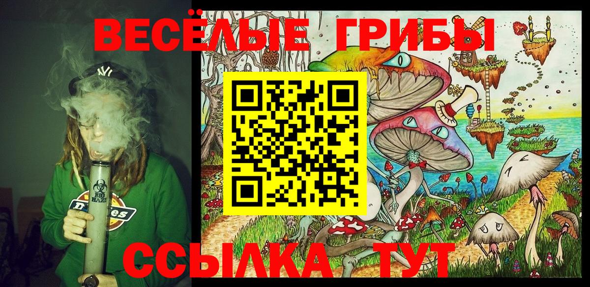 Галлюциногенные грибы MAGIC MUSHROOMS  купить наркоту  Вход с VPN  Балашов  Галлюциногенные грибы Magic Shrooms 